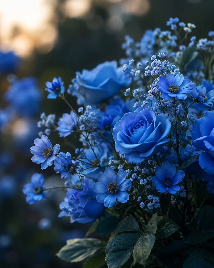 Blue Flowers
