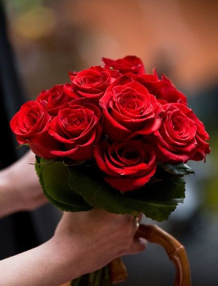 Red Flowers